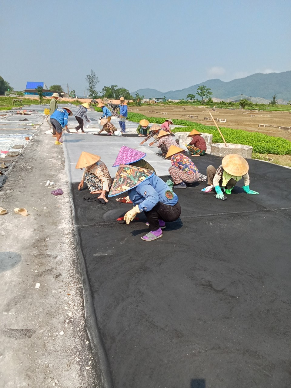 Bà con diêm dân thôn Châu Hạ, xã Thạch Châu bám đồng chuẩn bị sản xuất muối năm 2024!